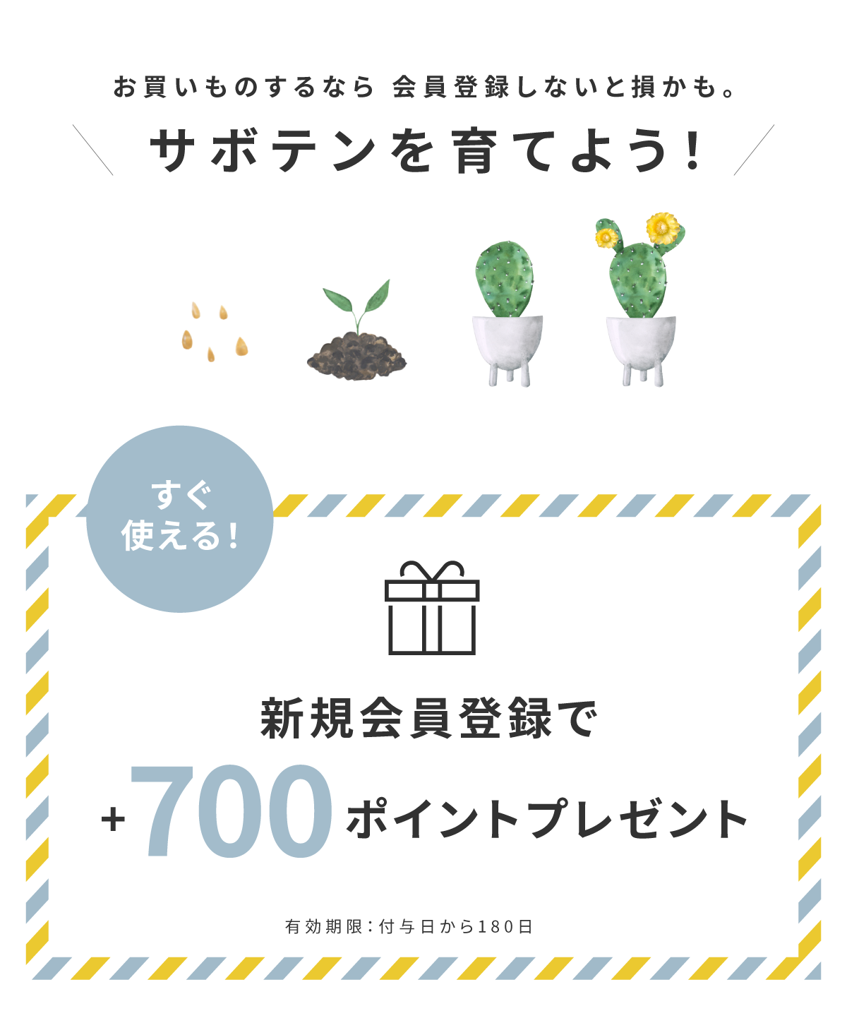365+b会員登録特典700pt