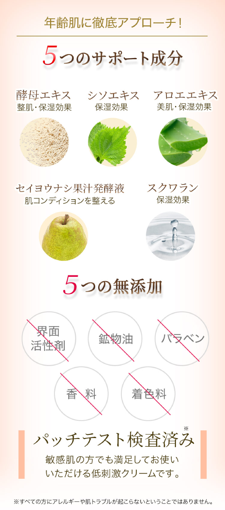 5つのサポート成分