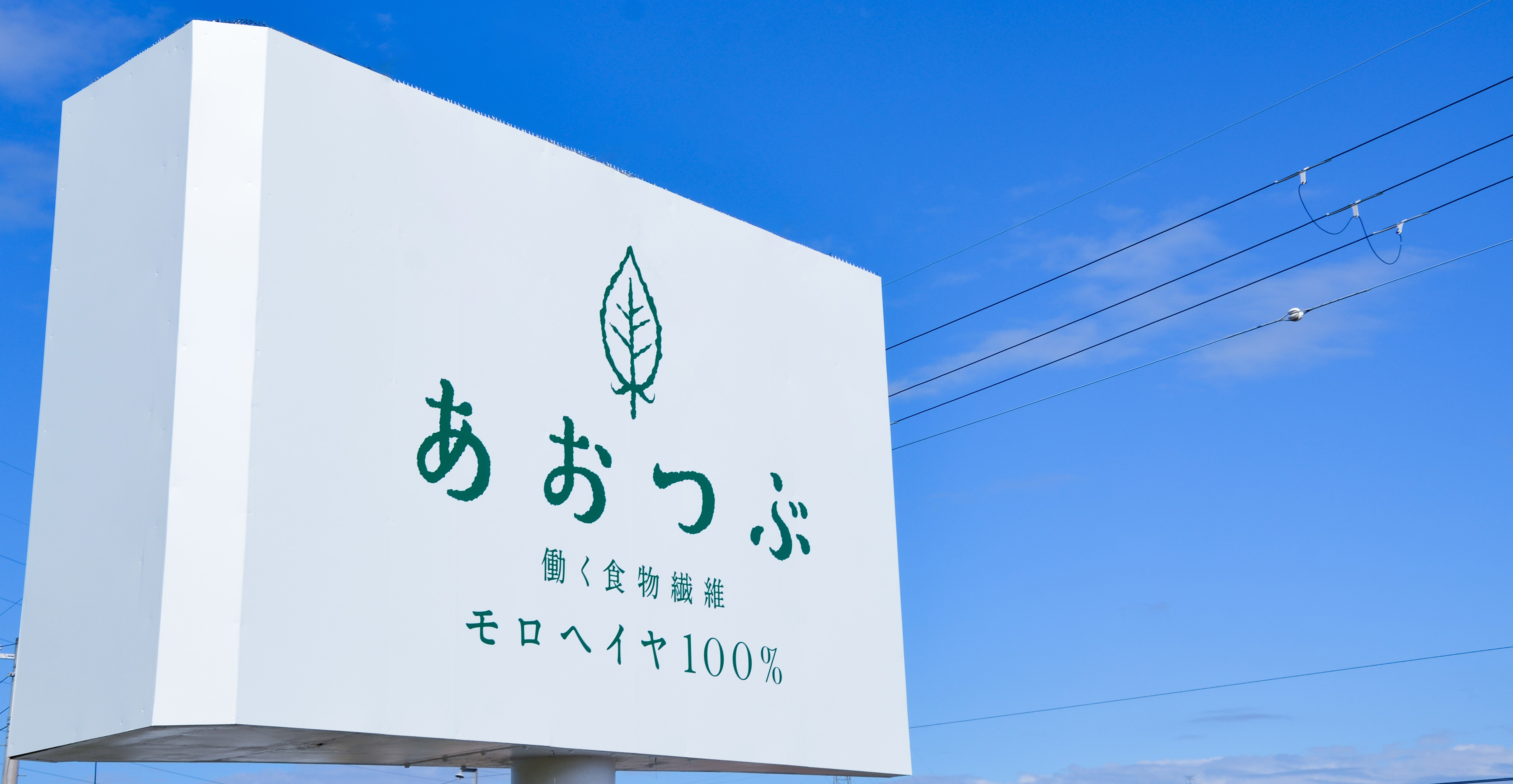 モロヘイヤを通じて、愛があふれる健康人生100年時代を実現する。