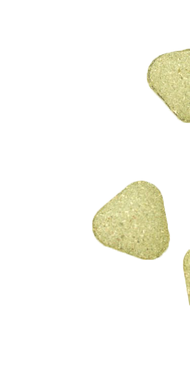 働く食物繊維、モロヘイヤ100%あおつぶ
