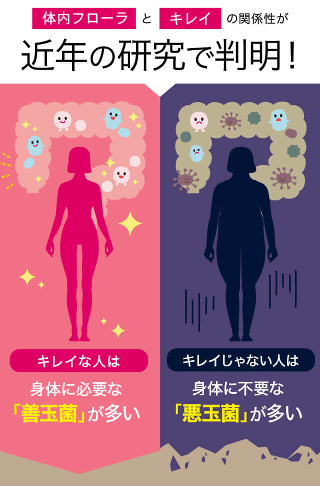腸内フローラとボディメイクの関係性が近年の研究で判明!