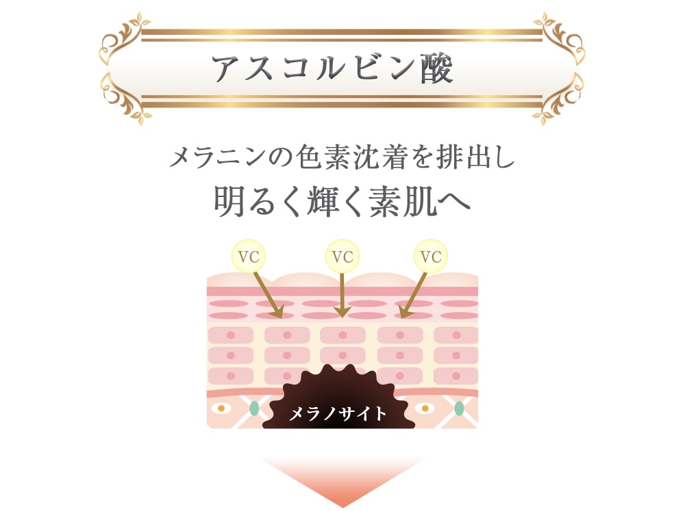 アスコルビン酸