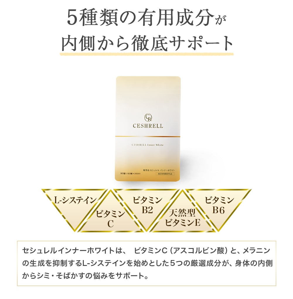 内側から徹底サポート