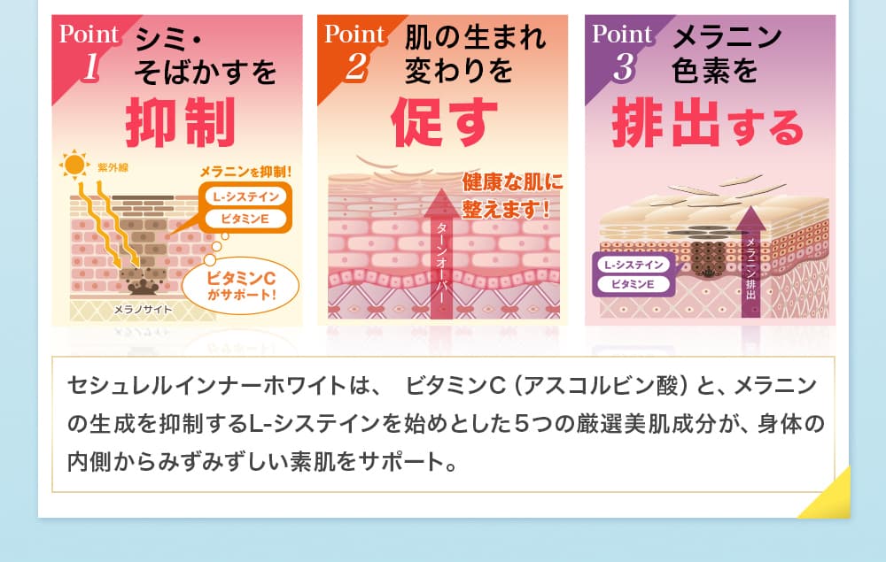 身体の内側からみずみずしい素肌をサポート
