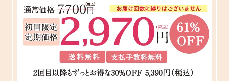 初回限定定期価格2970円(税込)