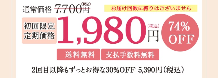 初回限定定期価格1980円(税込)