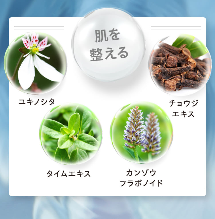 肌を整える