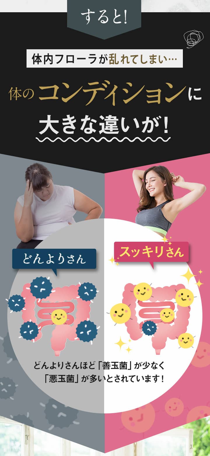 内側も外側も大きな違いが