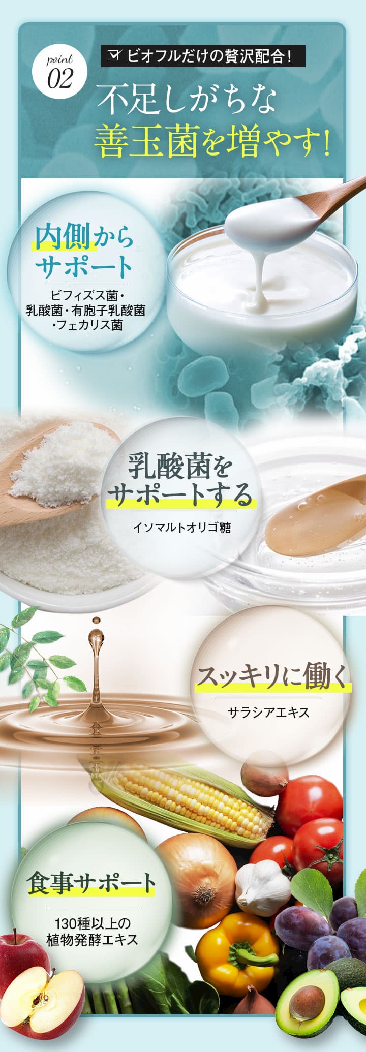 ビオフルで不足しがちな善玉菌を増やす