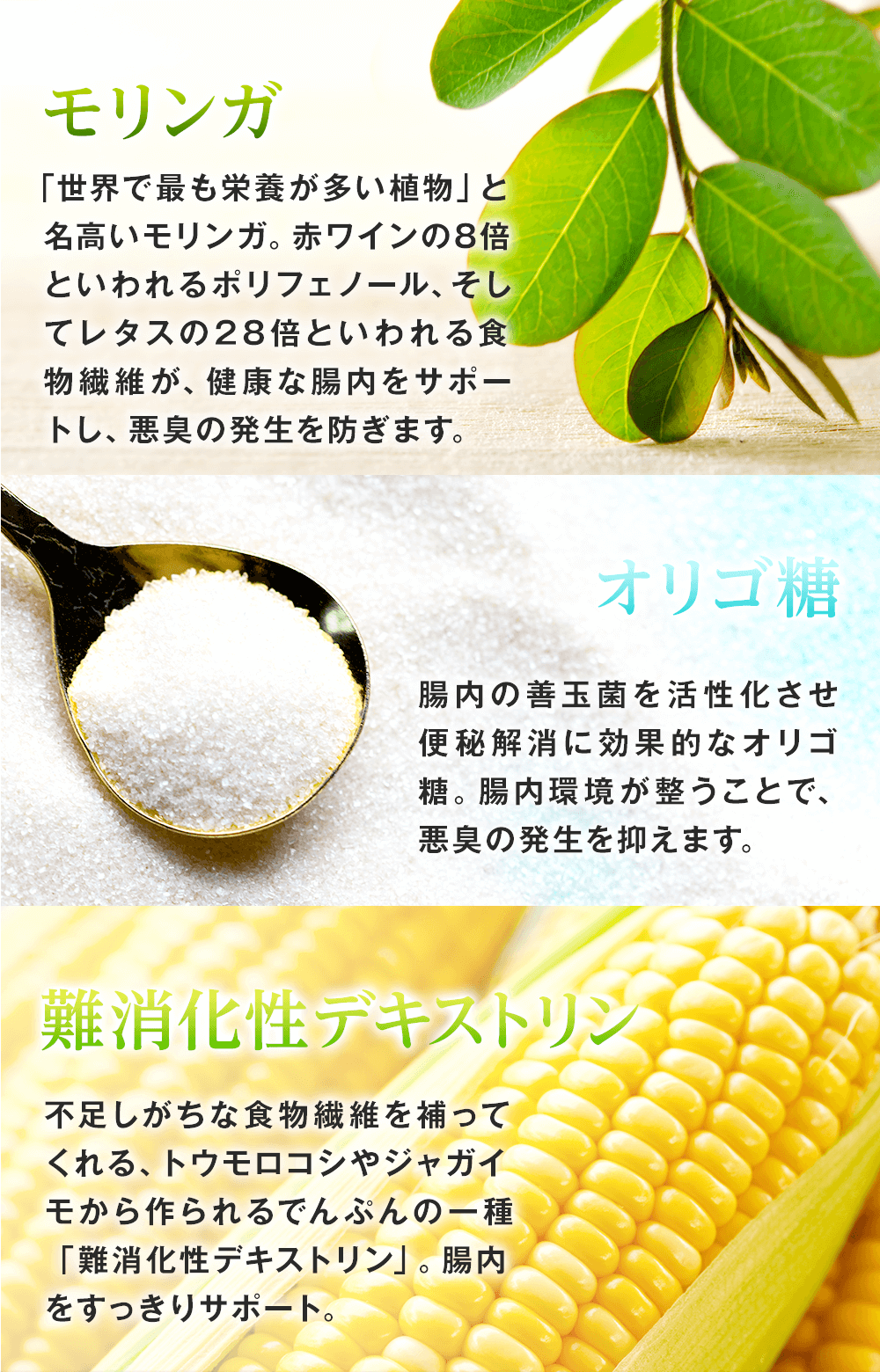 レタスの28倍も食物繊維が含まれるモリンガで健康な腸内をサポート。オリゴ糖で腸内の善玉菌を活性化させて便秘を解消。難消化性デキストリンで不足しがちな食物繊維を補い、腸内をすっきりサポートします!