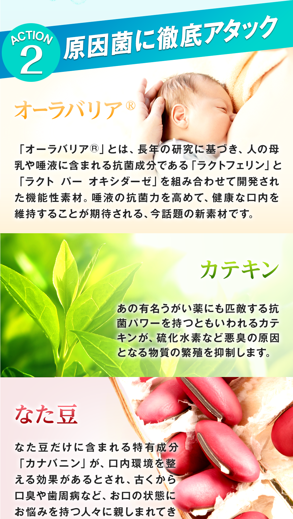 口臭サプリ『ブレッシュ』の二つ目の特徴は、原因菌に徹底アタック!オーラバリアで唾液の抗菌力を高めて健康な口内を維持!カテキンで悪臭の原因となる物質の繁殖を抑制!なた豆で口内環境を整えます!