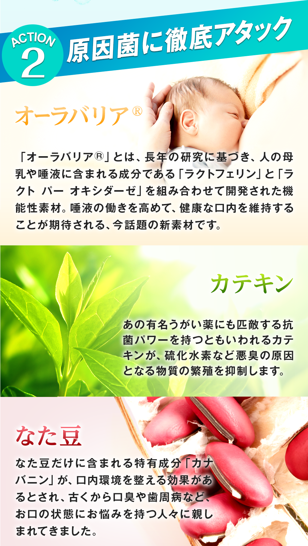 口臭サプリ『ブレッシュ』の二つ目の特徴は、原因菌に徹底アタック!オーラバリアで唾液の抗菌力を高めて健康な口内を維持!カテキンで悪臭の原因となる物質の繁殖を抑制!なた豆で口内環境を整えます!