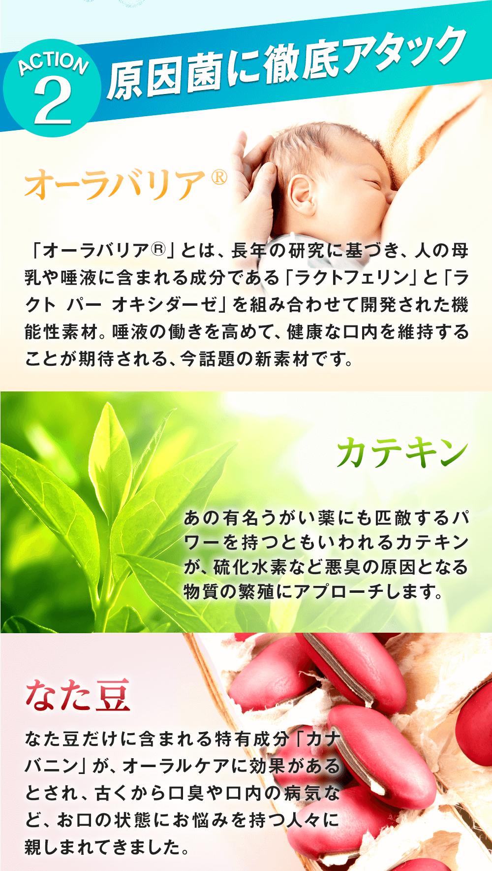 口臭サプリ『ブレッシュ』の二つ目の特徴は、原因菌に徹底アタック!オーラバリアで唾液の抗菌力を高めて健康な口内を維持!カテキンで悪臭の原因となる物質の繁殖を抑制!なた豆で口内環境を整えます!