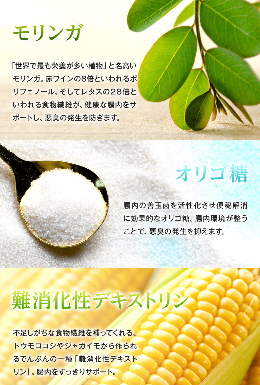 レタスの28倍も食物繊維が含まれるモリンガで健康な腸内をサポート。オリゴ糖で腸内の善玉菌を活性化させて便秘を解消。難消化性デキストリンで不足しがちな食物繊維を補い、腸内をすっきりサポートします!