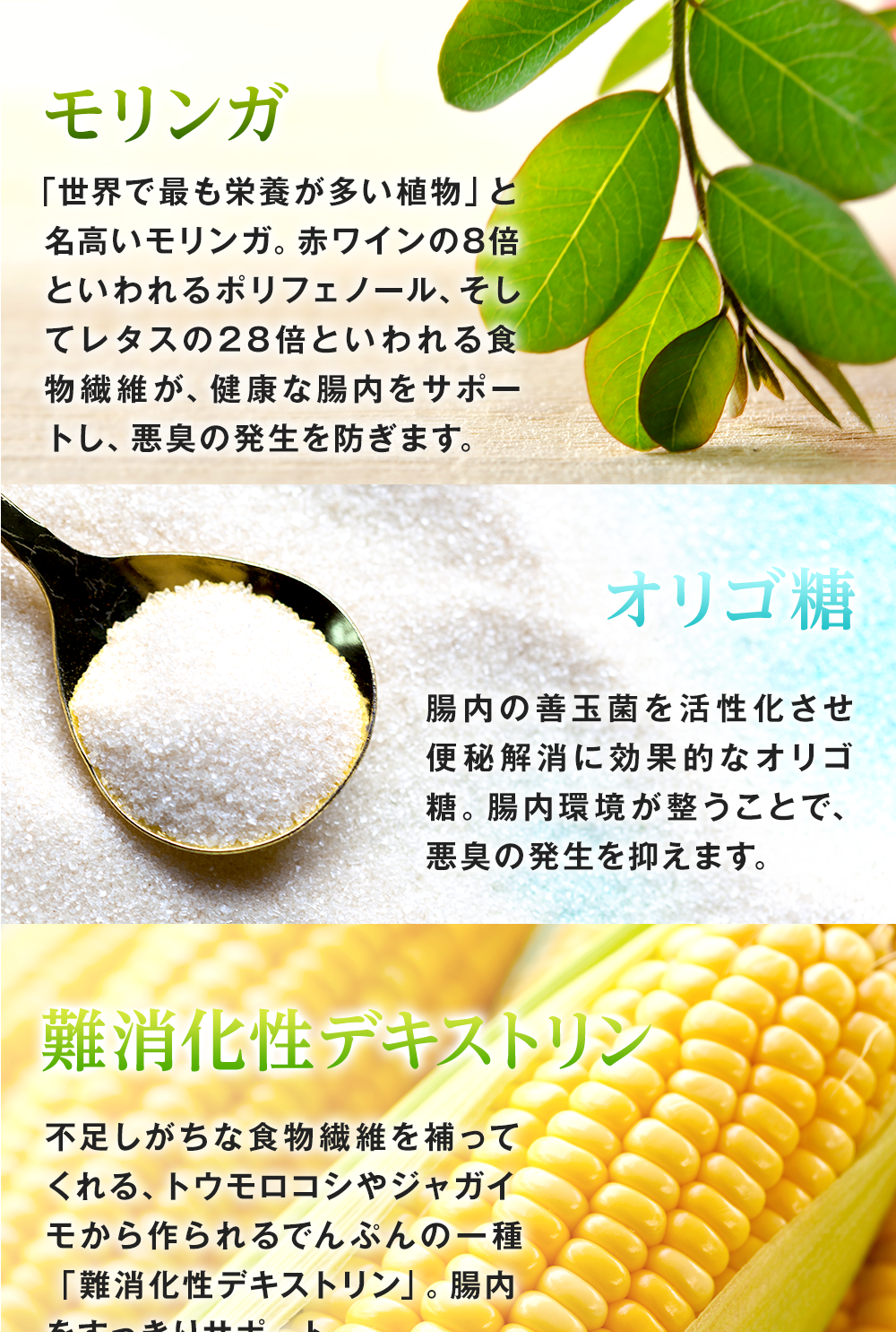 レタスの28倍も食物繊維が含まれるモリンガで健康な腸内をサポート。オリゴ糖で腸内の善玉菌を活性化させて便秘を解消。難消化性デキストリンで不足しがちな食物繊維を補い、腸内をすっきりサポートします!