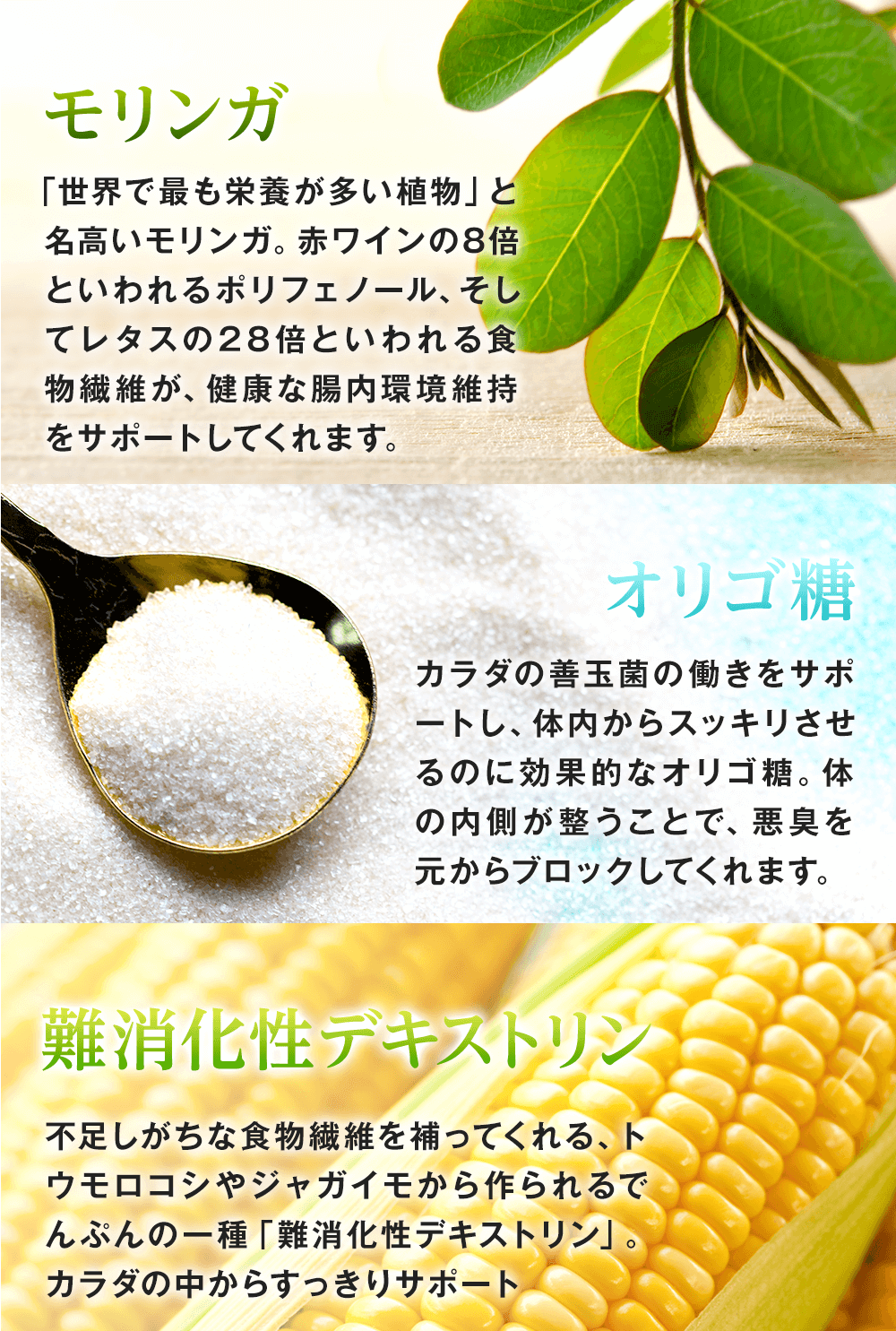 レタスの28倍も食物繊維が含まれるモリンガで健康な腸内をサポート。オリゴ糖で腸内の善玉菌を活性化させて便秘を解消。難消化性デキストリンで不足しがちな食物繊維を補い、腸内をすっきりサポートします!