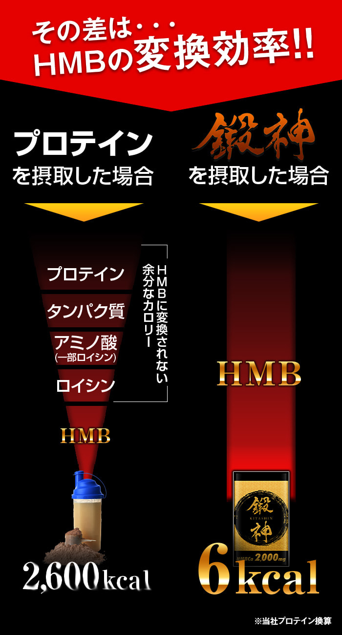 プロテインとHMBは吸収効率の差が圧倒的に異なります!