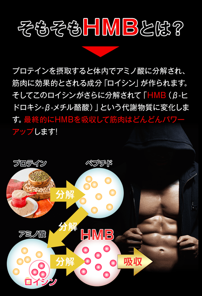 そもそもhmbとはプロスポーツ選手も愛用する高効率な筋トレサポート成分。摂取したプロテインは体内でアミノ酸に分解され、筋肉効果的とされる成分ロイシンが作られます。このロイシンが更に分解されてhmbという代謝物質に変化します。最終的にhmbを吸収して筋肉はどんどんパワーアップします!