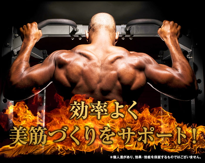 鍛神hmbサプリメントで効率良く美筋づくりをサポート!男性も女性も美しい体を手に入れろ!