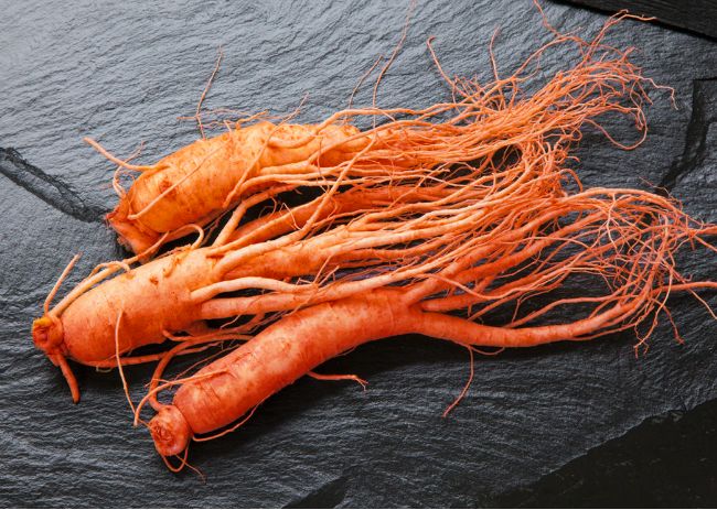 TRADITIONAL PREMIUM GINSENG