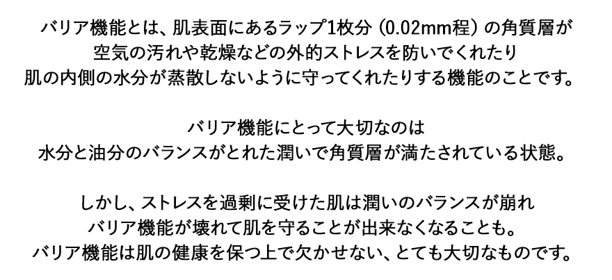 肌のことを知ろう