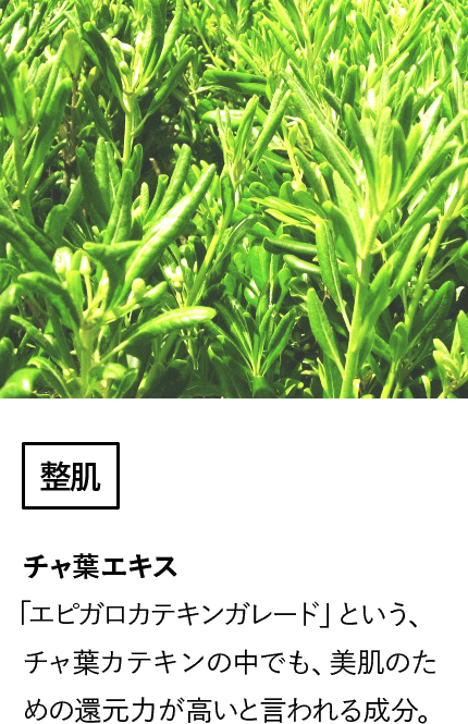 チャ葉エキス(整肌)「エピガロカテキンガレード」という、チャ葉カテキンの中でも、美肌のための還元力が高いと言われる成分。