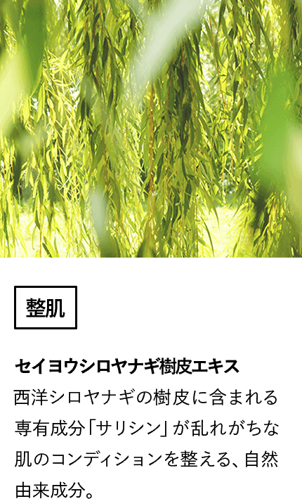 セイヨウシロヤナギ樹皮エキス(整肌)西洋シロヤナギの樹皮に含まれる専有成分「サリシン」が乱れがちな肌のコンディションを整える、自然由来成分。
