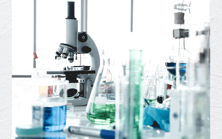 顕微鏡を覗く研究員の女性画像