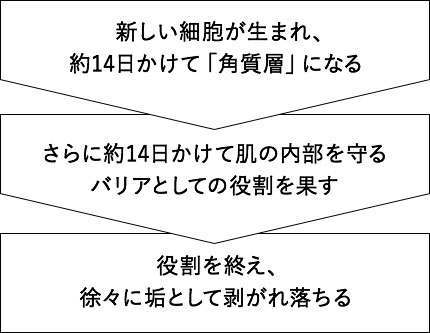 ターンオーバー