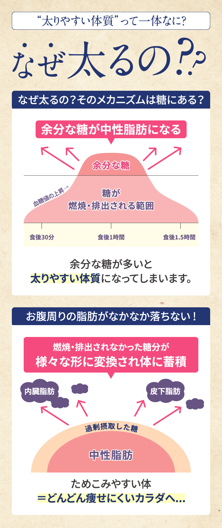 サプリメント,ミステリーショッパー,ミステリーショッピングリサーチ,覆面調査