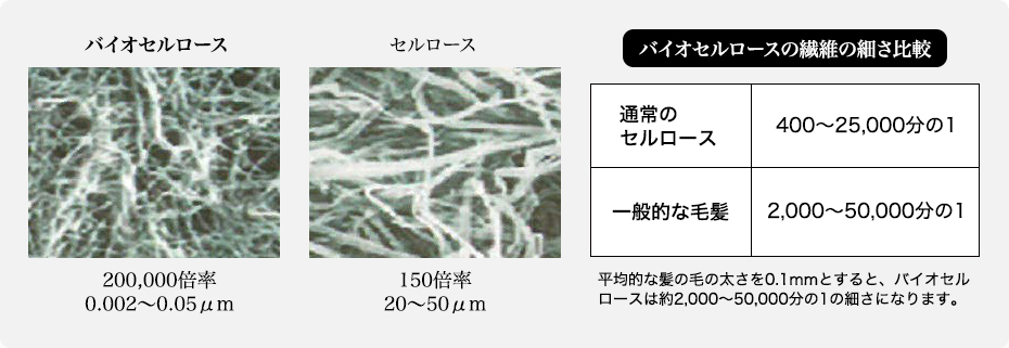 バイオセルロースの繊維の細さ比較