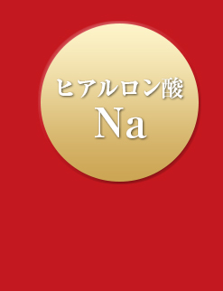 ヒアルロン酸Na