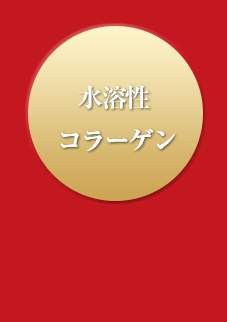 水溶性コラーゲン