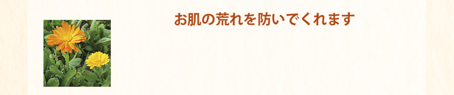 お肌の荒れを防いでくれます