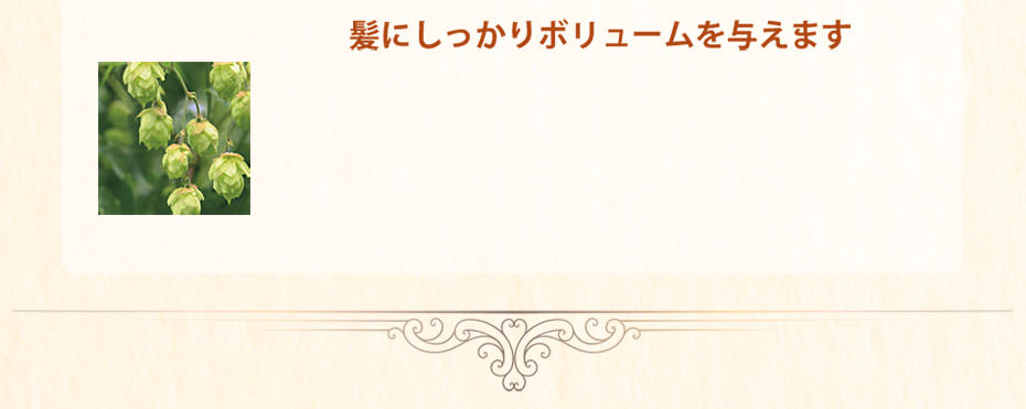 髪にしっかりボリュームを与えます
