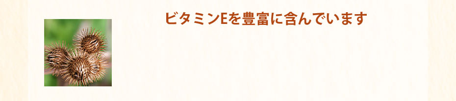 ビタミンEを豊富に含んでいます