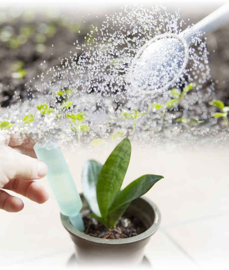 植物を育てるように「水」と「栄養」を。正しいヘアサイクルを取り戻そうの画像
