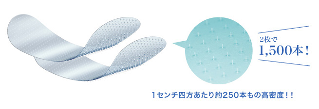 1500本! 1センチ四方あたり約250本もの高密度!!