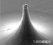 1000倍拡大