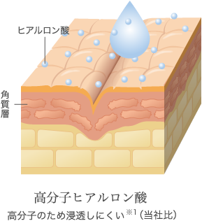 高分子ヒアルロン酸 高分子のため浸透しにくい(当社比)