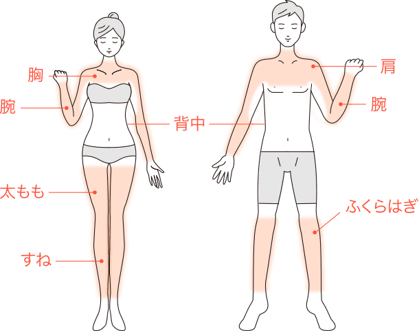 おすすめの貼付箇所