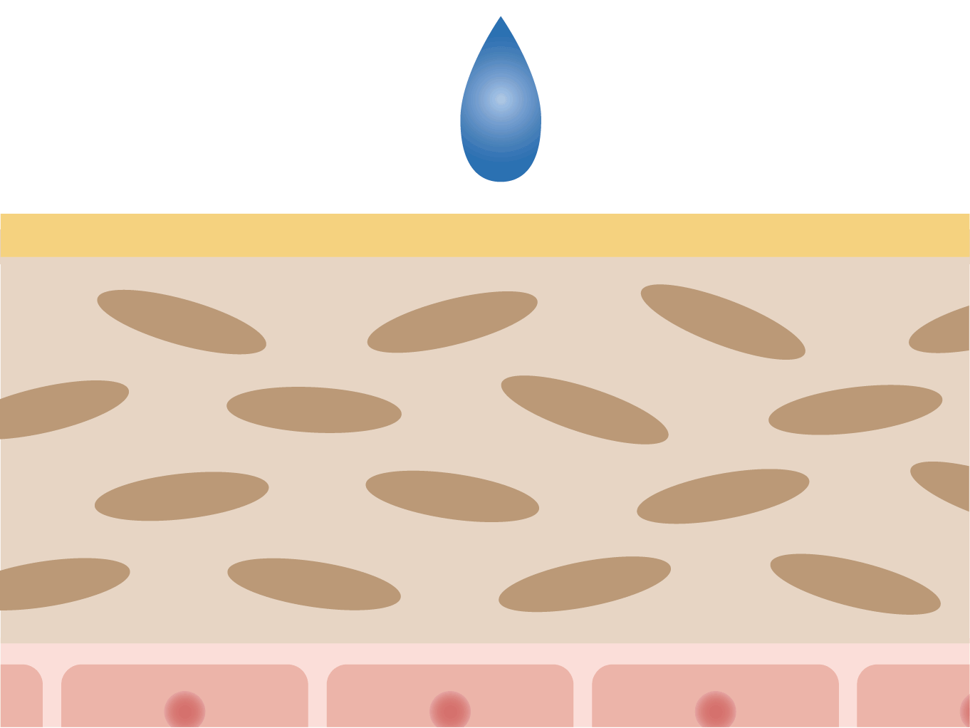 BASE CARE