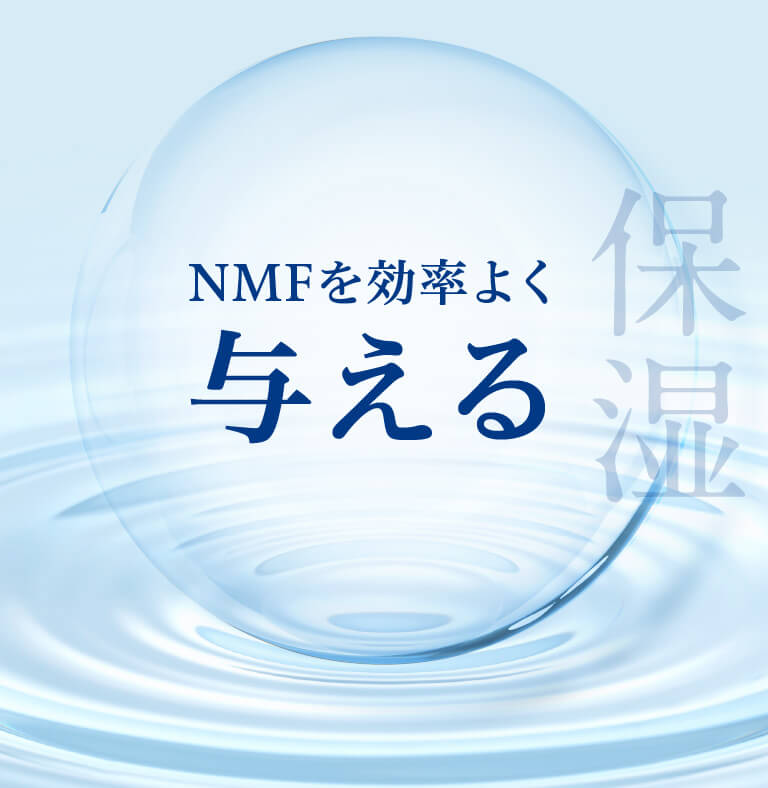クオニスイメージバック