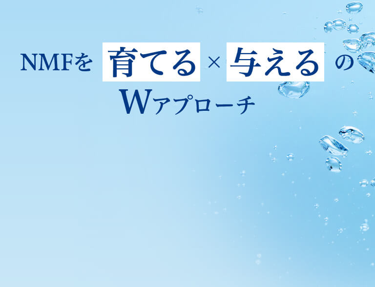 クオニスイメージバック