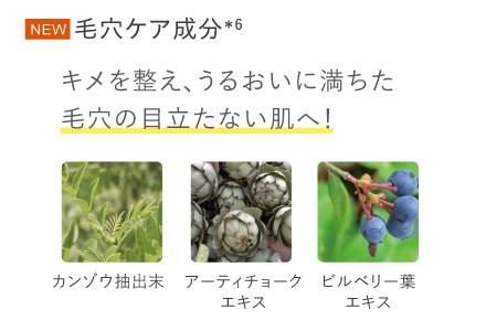 キメを整え、うるおいに満ちた毛穴の目立たない肌に導きます。</p>