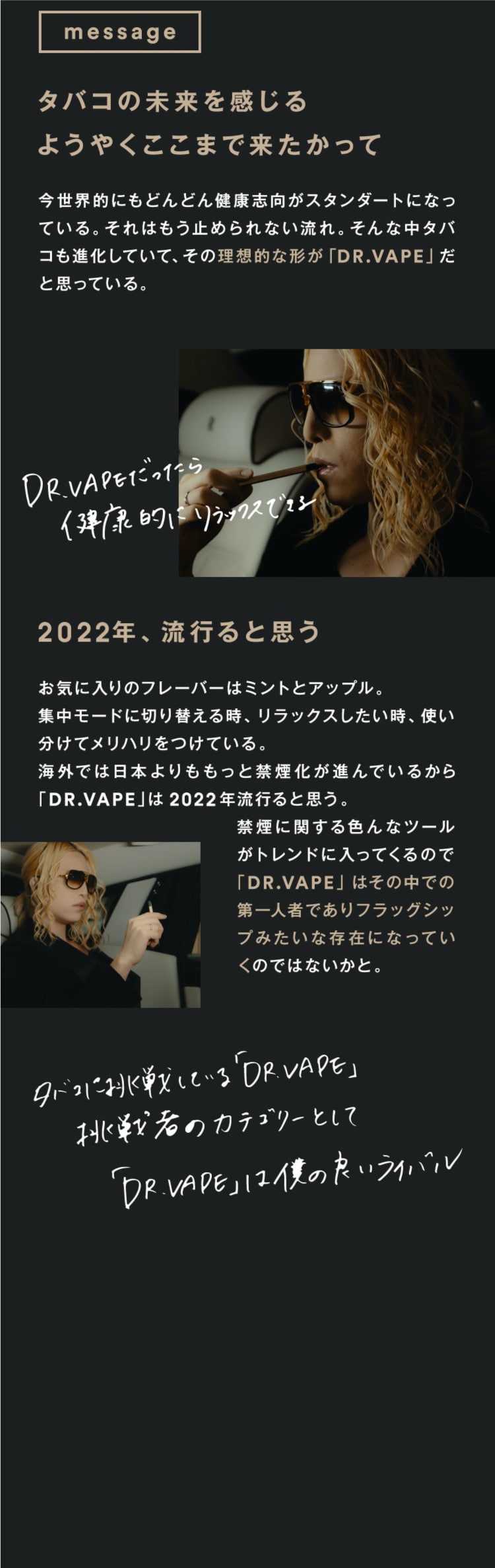 公式 Dr Vape ドクターベイプ Model 2 Dr Vape ドクターベイプ 公式サイト