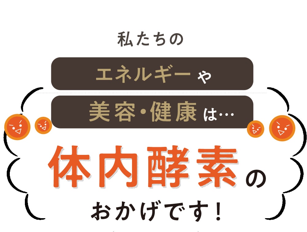 みらいの完全栄養食ダイエット | タマチャンショップ