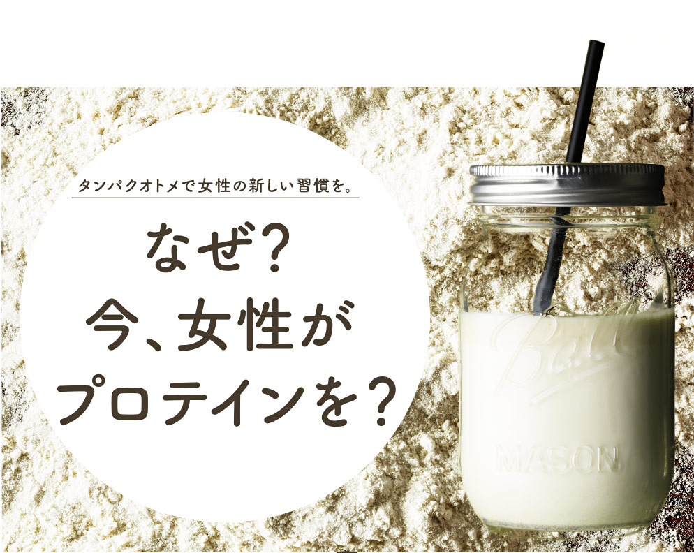 タンパクオトメLP