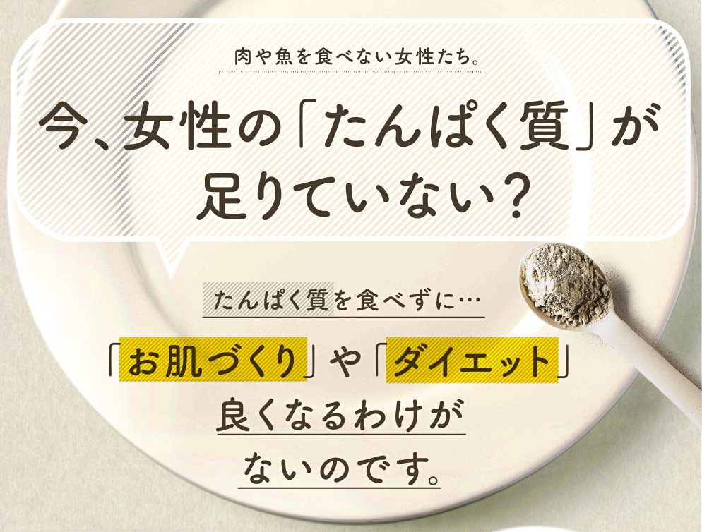タンパクオトメLP
