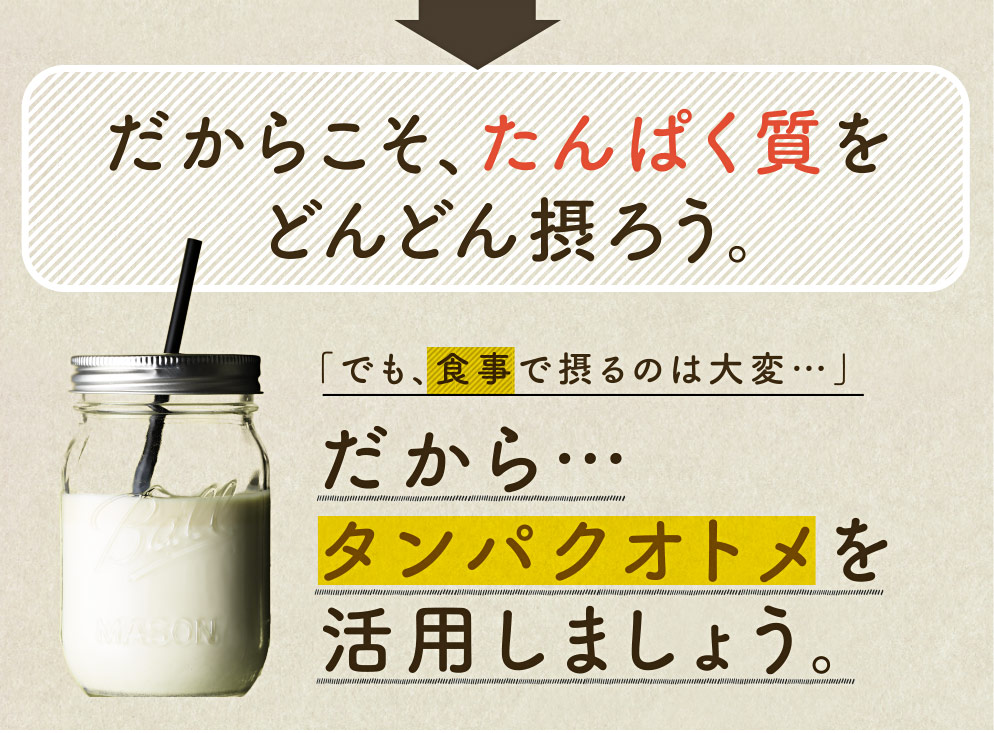 タンパクオトメLP